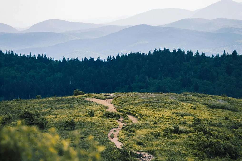 Alex Diaz / Unsplash