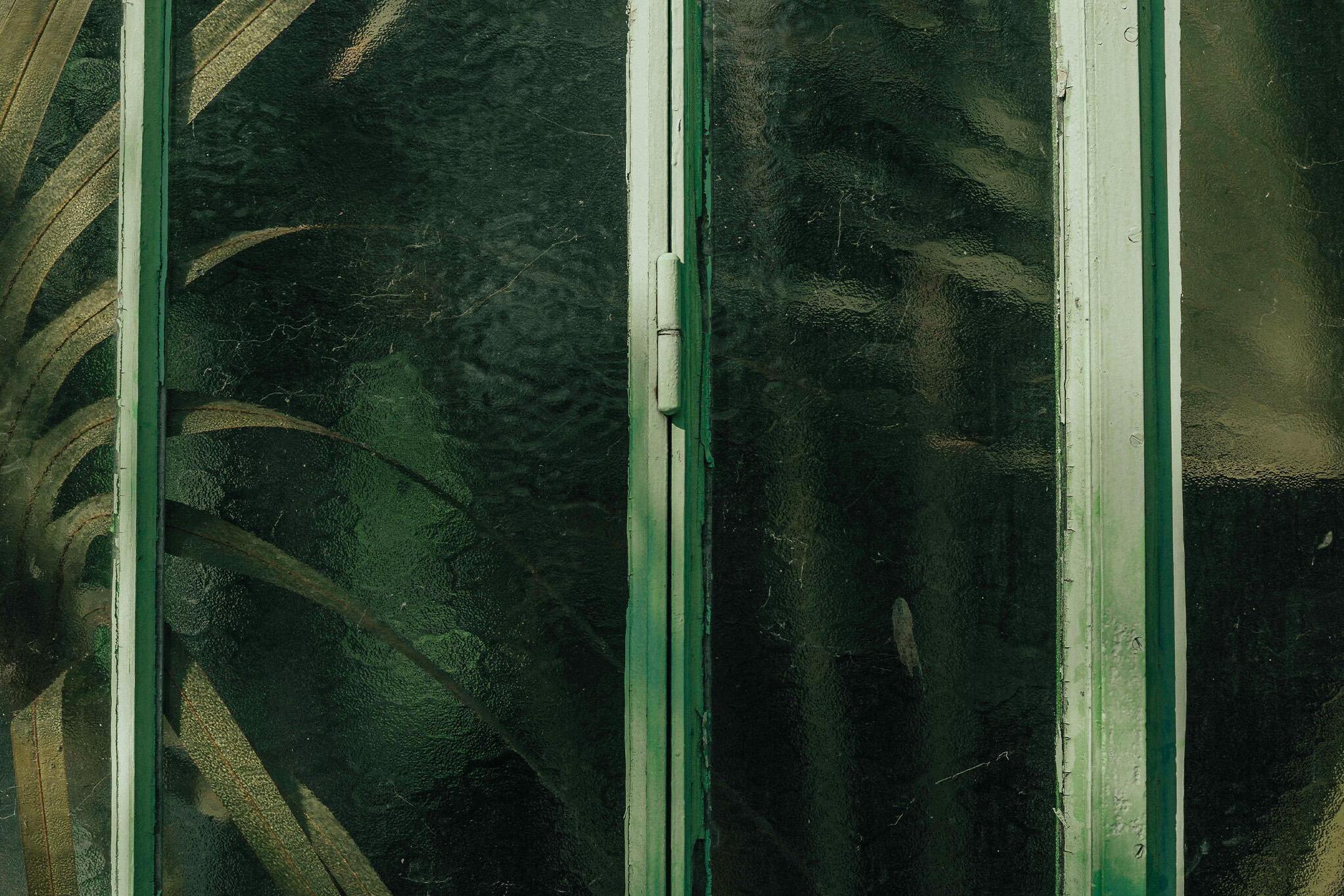 Anthony Delanoix / Unsplash