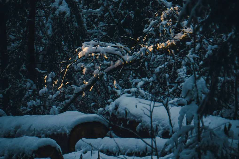 Valentin Lisov / Unsplash