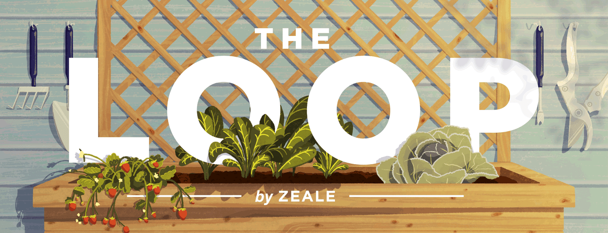 LOOP_Header_garden_ZEALE