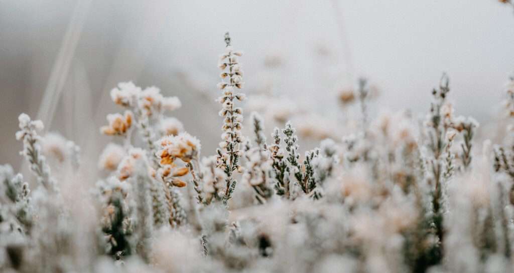 Annie Spratt / Unsplash